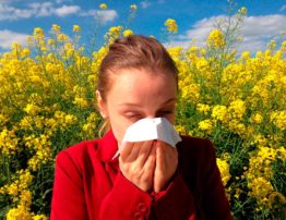 Alergias: como se prevenir das reações alérgicas? | PneumoCenter
