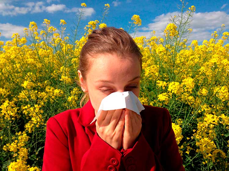 Alergias: como se prevenir das reações alérgicas? | PneumoCenter