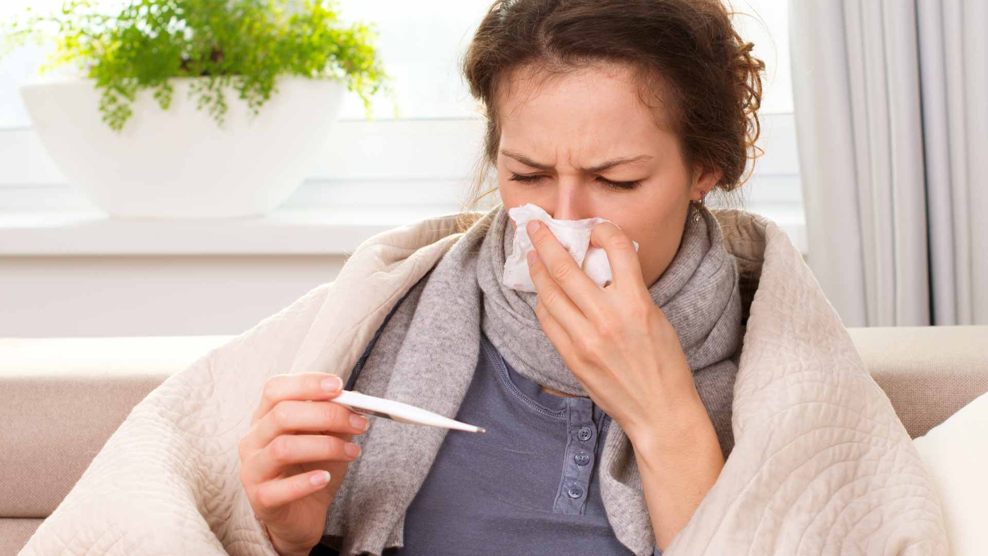 Entenda a gripe H3N2